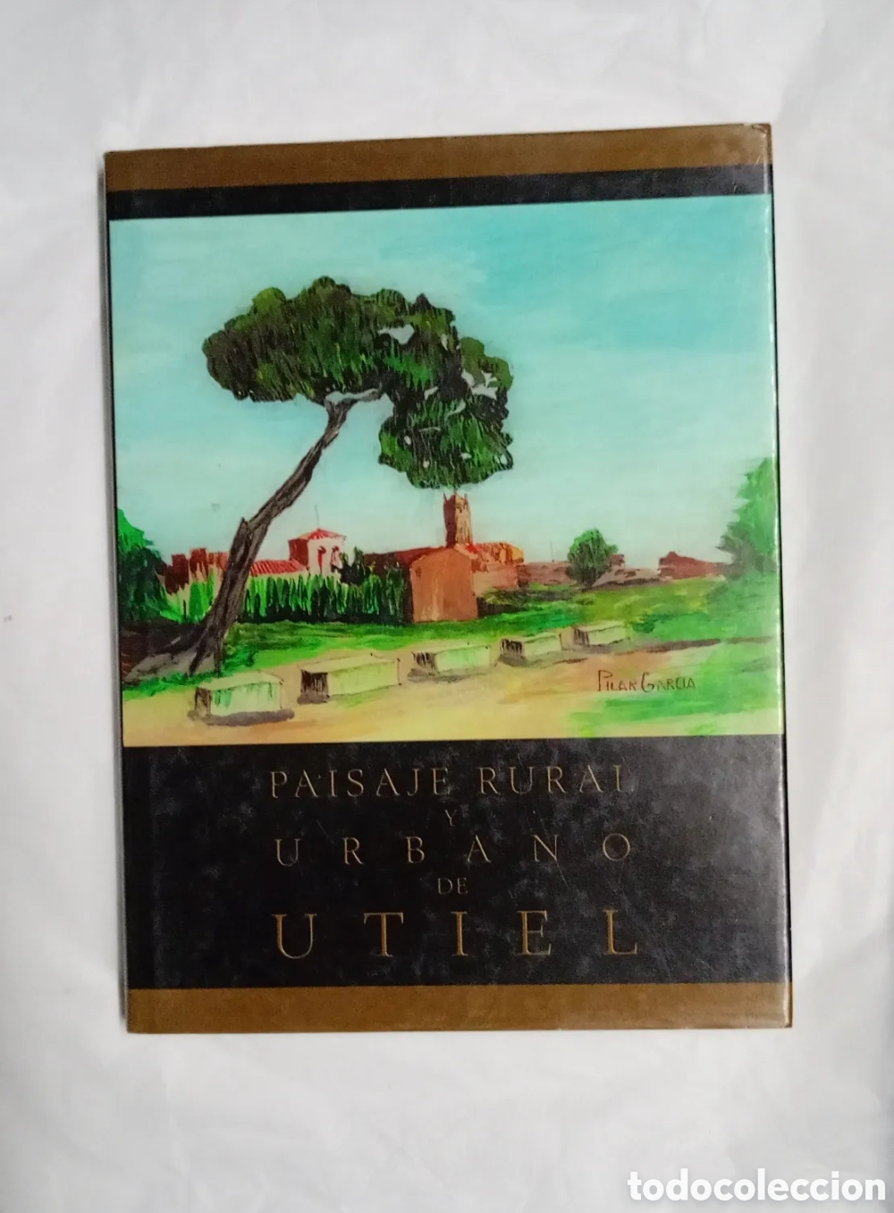 Gebrauchte B&uuml;cher: Paisaje Rural y Urbano de Utiel&rdquo;