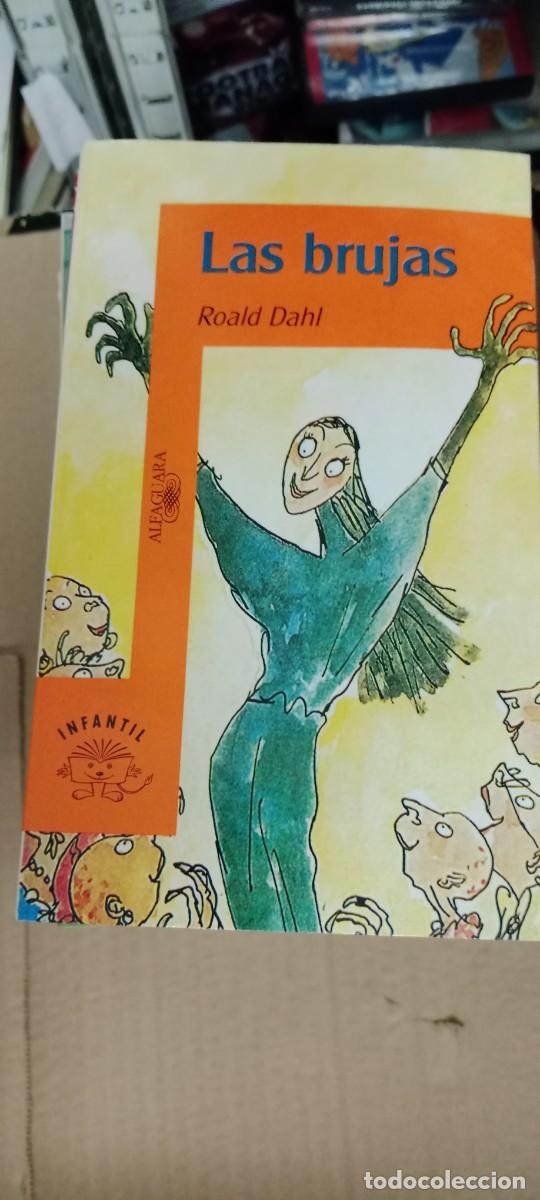 Libros de segunda mano: LAS BRUJAS ROALD DAHL ALFAGUARA LIBRO GG-AUR