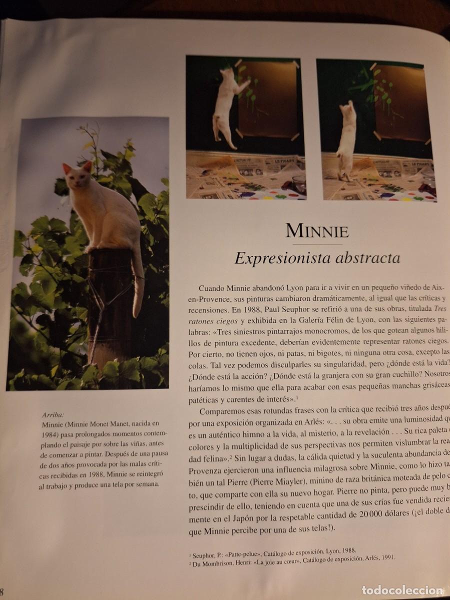 Libros de segunda mano: Libro, Por que pintan los gatos - Foto 4