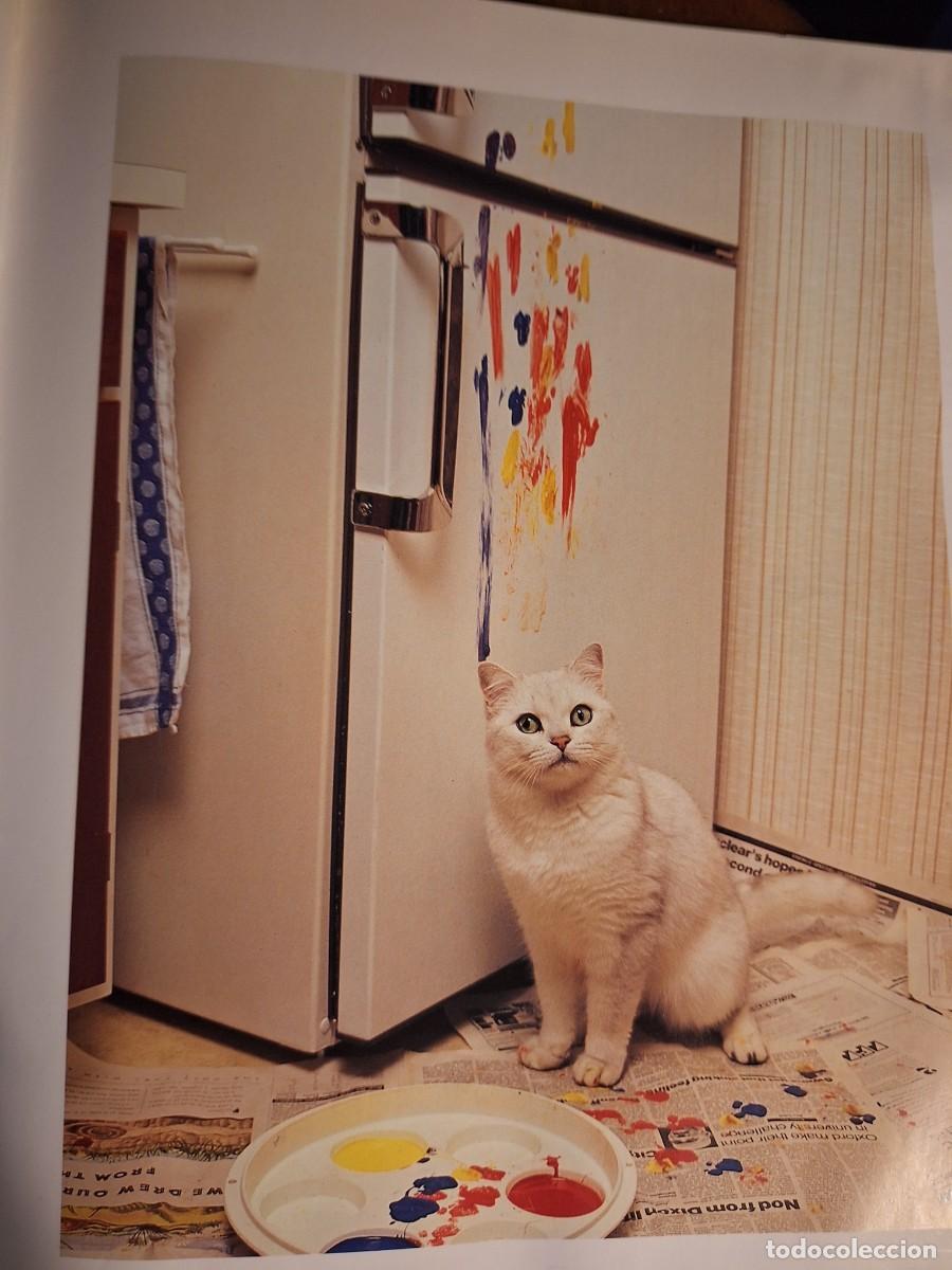 Libros de segunda mano: Libro, Por que pintan los gatos - Foto 6
