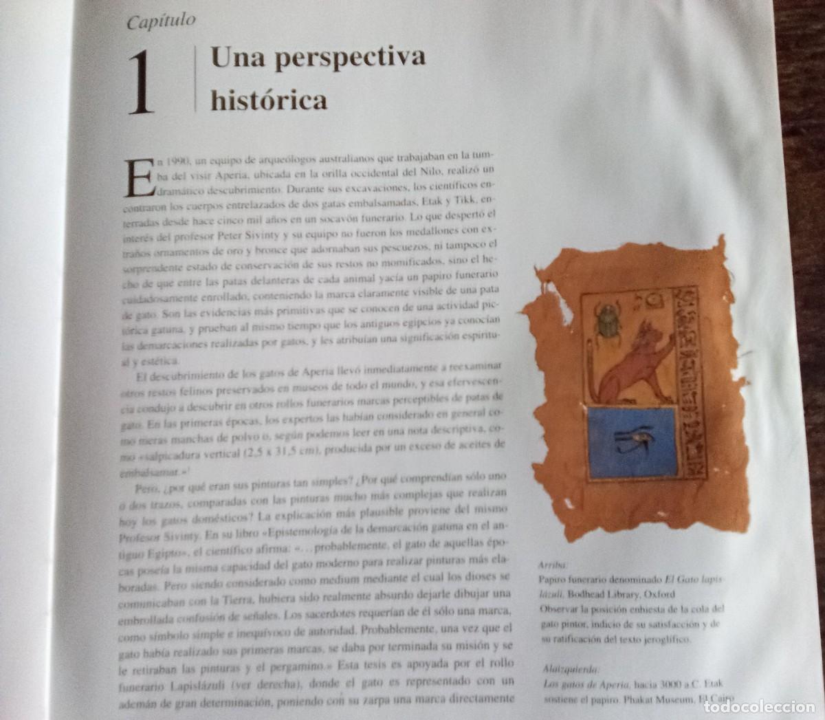 Libros de segunda mano: Libro, Por que pintan los gatos - Foto 2