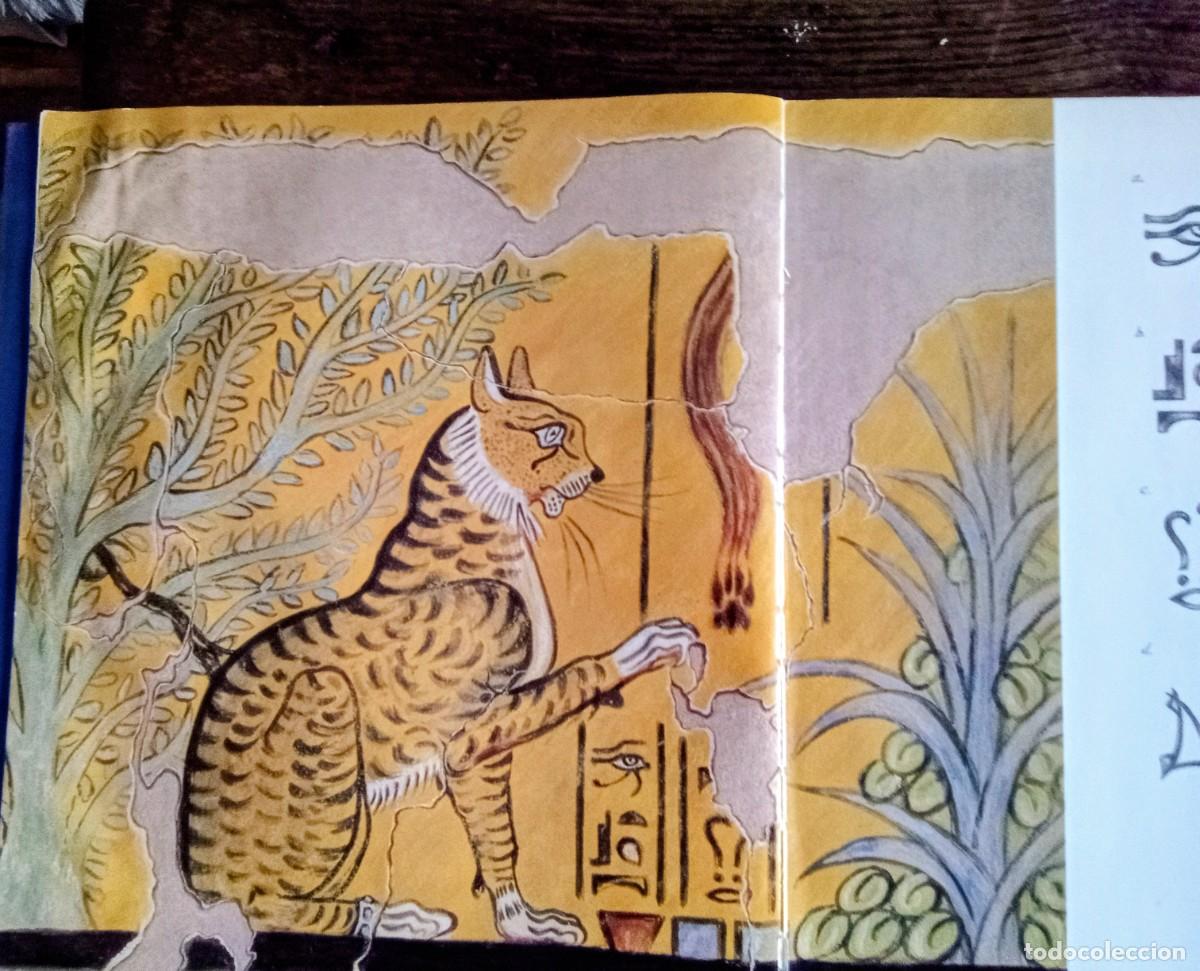 Libros de segunda mano: Libro, Por que pintan los gatos - Foto 3