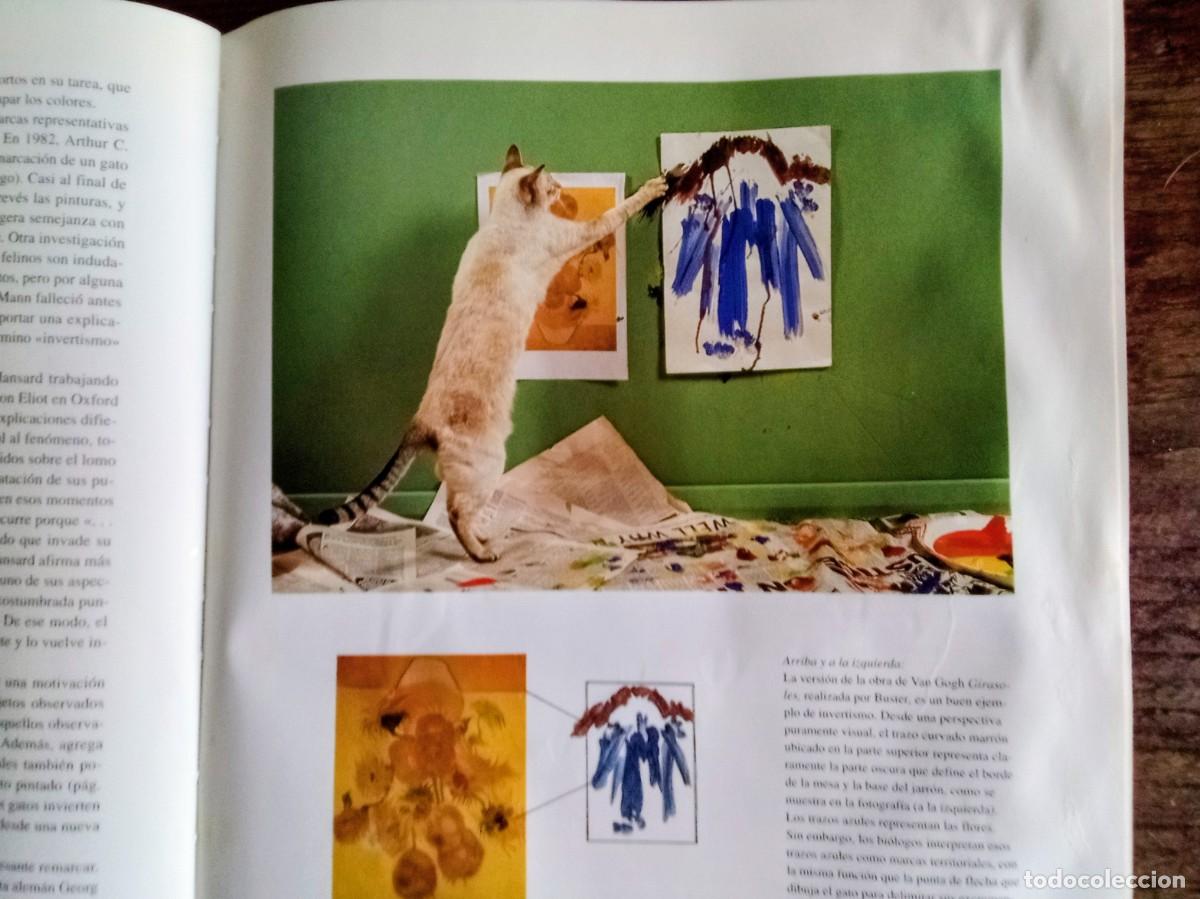 Libros de segunda mano: Libro, Por que pintan los gatos - Foto 7