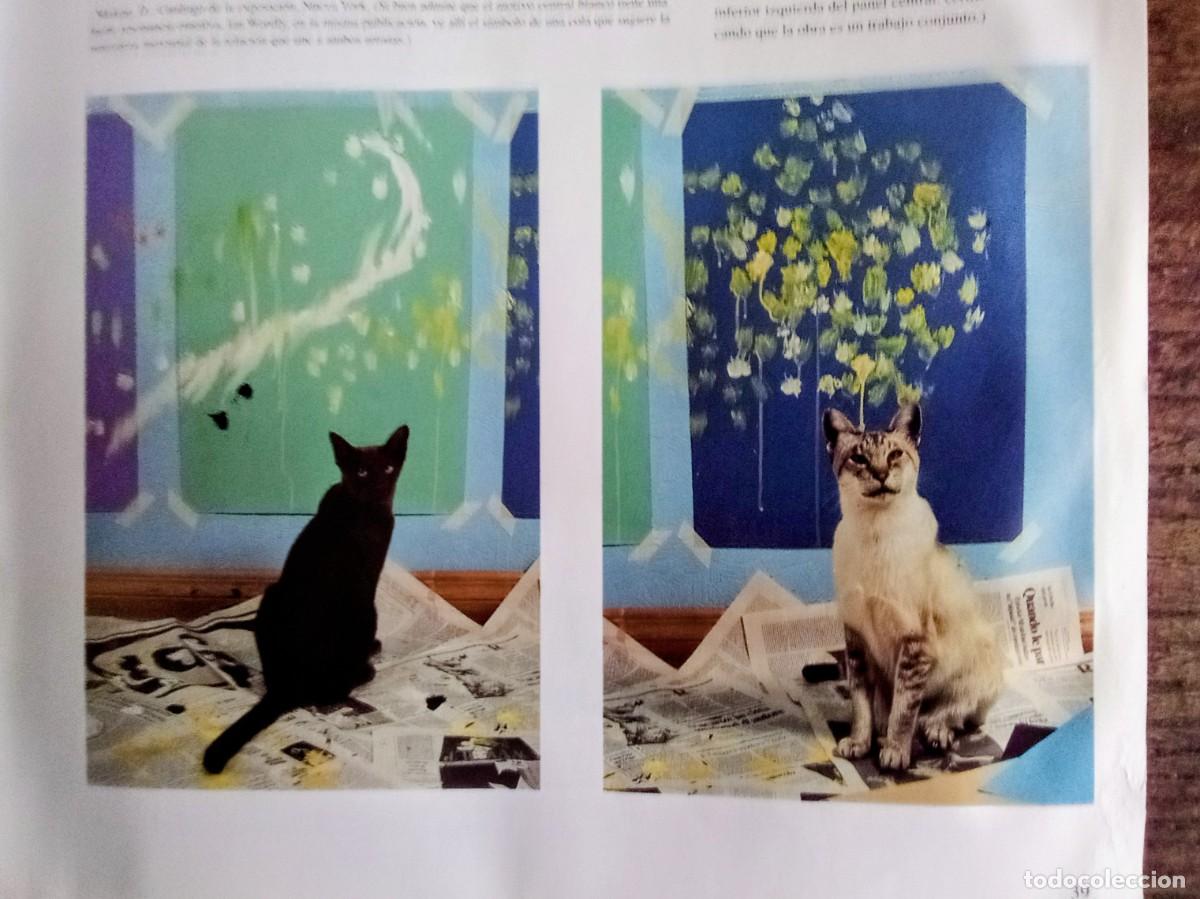 Libros de segunda mano: Libro, Por que pintan los gatos - Foto 8