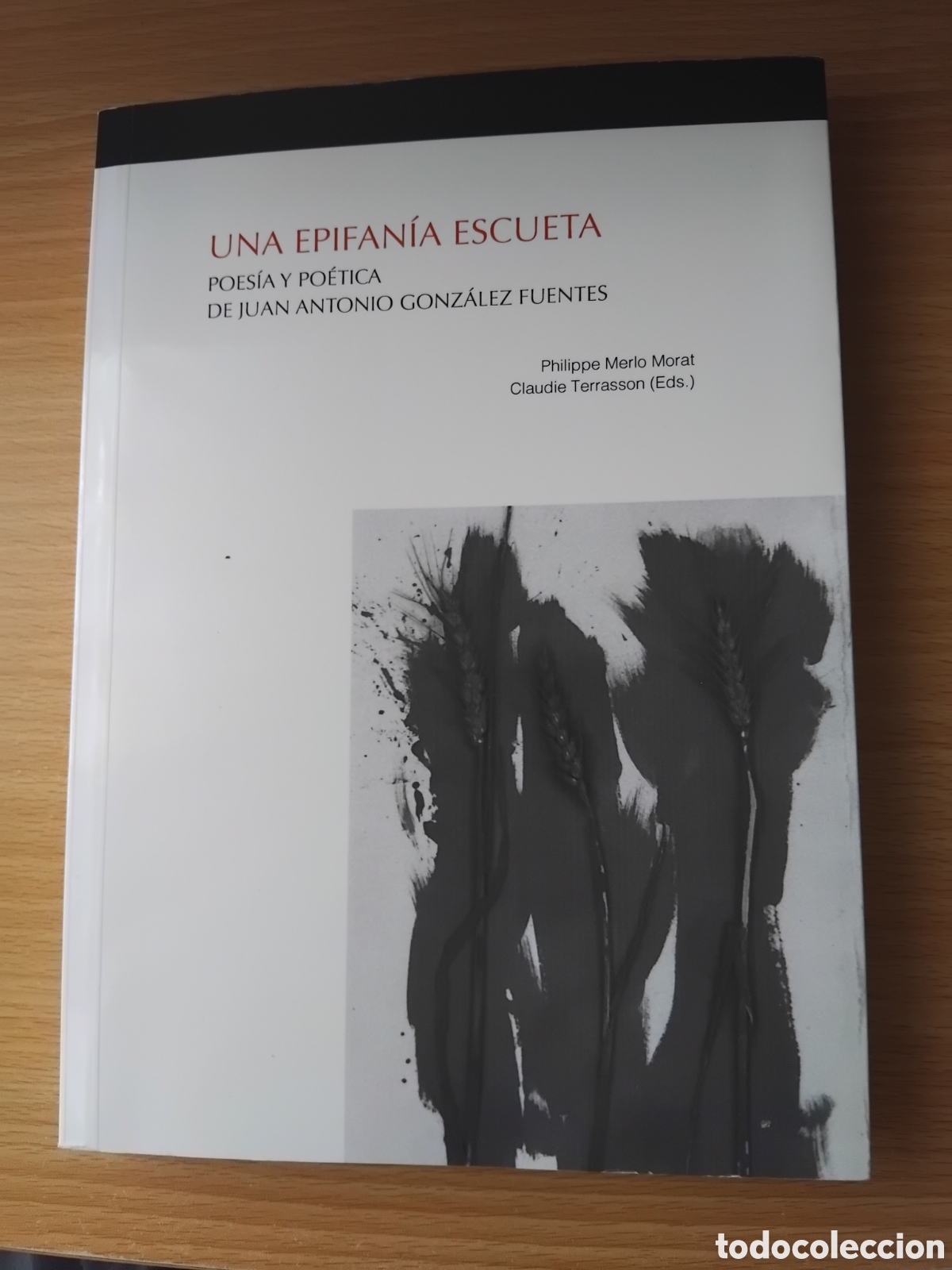 Libros de segunda mano: Una epifan&iacute;a escueta.Poes&iacute;a y po&eacute;tica de Juan Antonio Gonz&aacute;lez Fuentes;P.Merlo/C.Terrasson(Eds.)2015