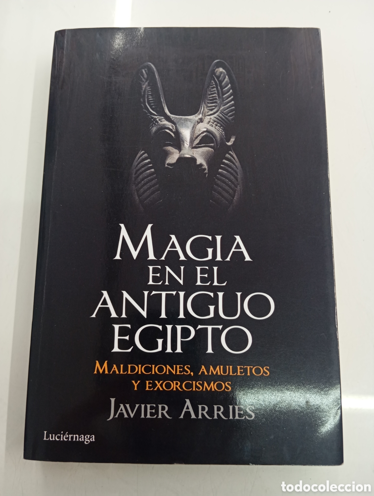 Libros de segunda mano: MAGIA EN EL ANTIGUO EGIPTO. MALDICIONES, AMULETOS Y EXORCISMOS (LUCI&Eacute;RNAGA, 2016) JAVIER ARRIES