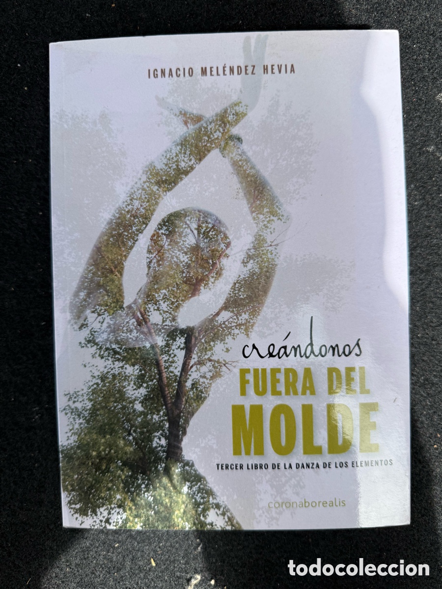 Libros de segunda mano: CREANDONOS FUERA DEL MOLDE - TERCER LIBRO LA DANZA DE LOS ELEMENTOS IGNACIO MELENDEZ HEVIA