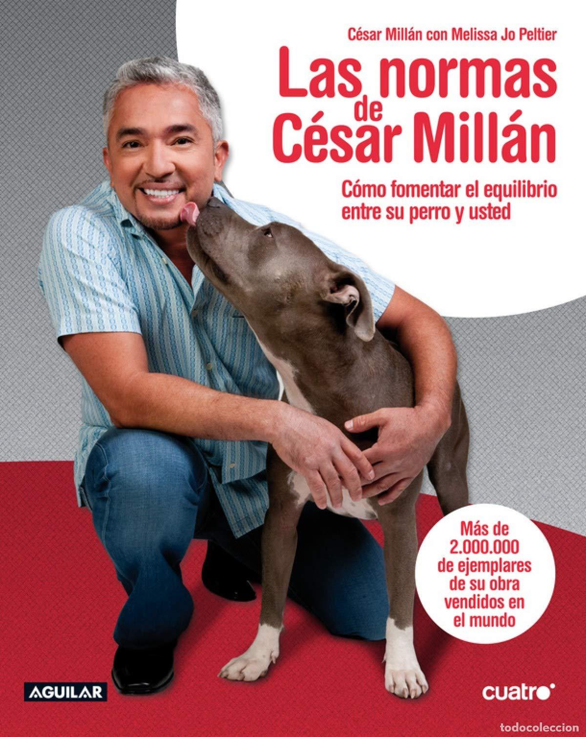 Libros de segunda mano: Las normas de C&eacute;sar Mill&aacute;n - Foto 1