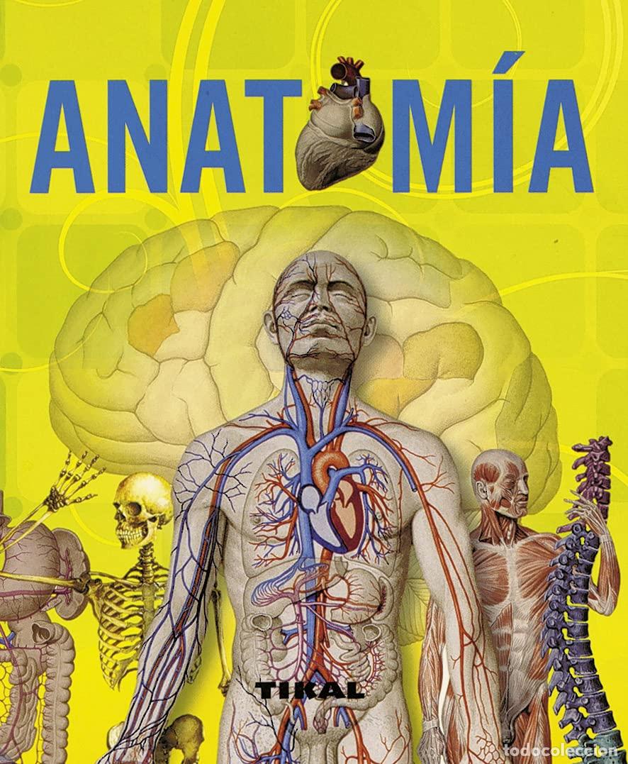Libros de segunda mano: Anatom&iacute;a (Enciclopedia Universal) - Foto 1