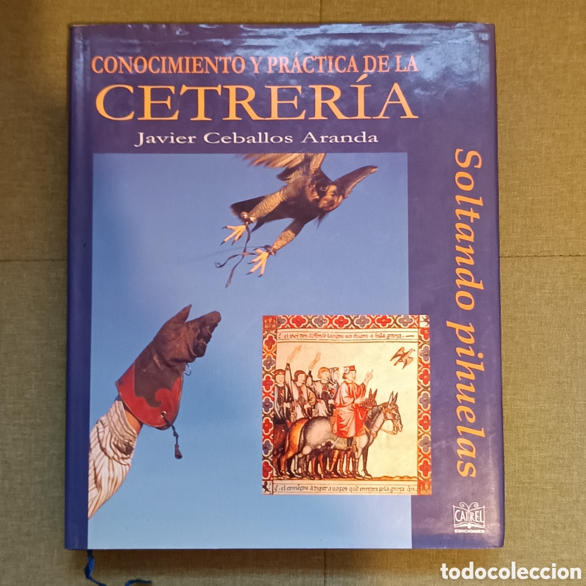 Livres d'occasion: Conocimiento y pr&aacute;ctica de la cetrer&iacute;a. Javier Ceballos Aranda