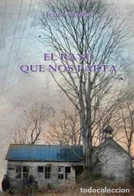 Libros de segunda mano: El rayo que nos parta - Jes&uacute;s Artacho - Foto 1