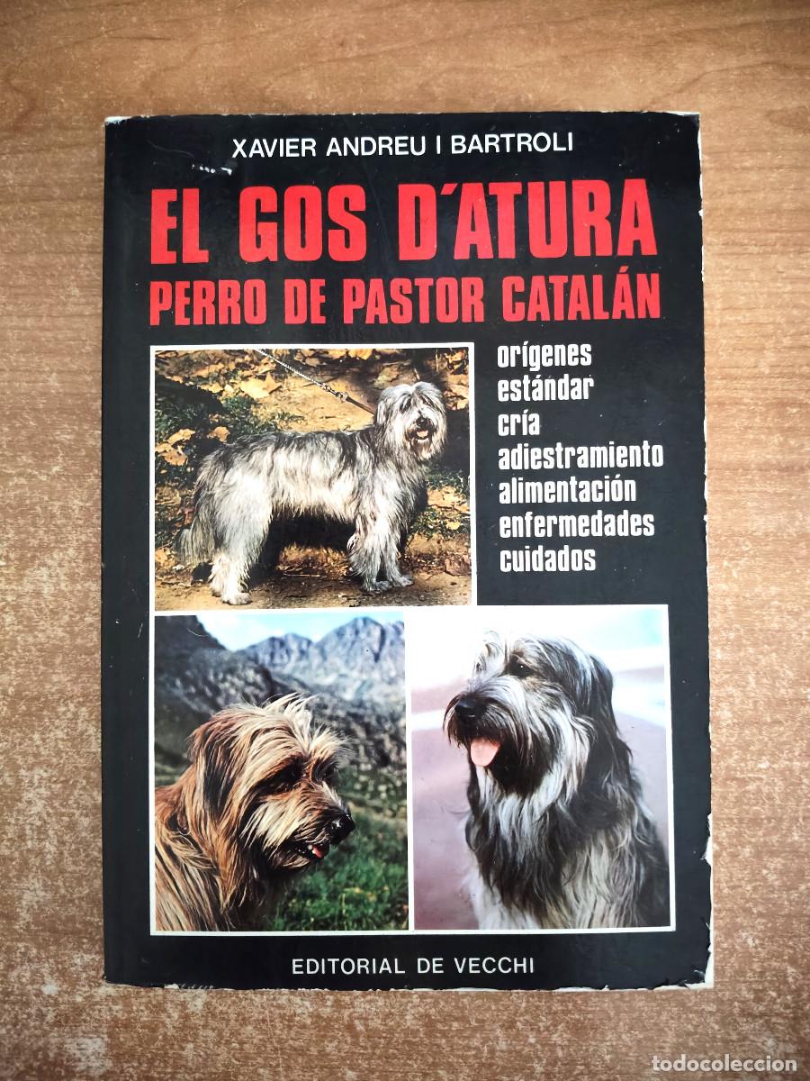 Gebrauchte B&uuml;cher: El Gos D&acute;atura. Perro de pastor catal&aacute;n - Xavier Andreu i Bartroli - Editorial de Vecchi, 1989