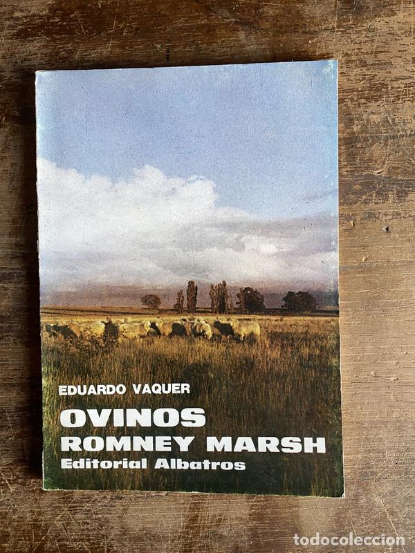 Libros de segunda mano: Ovinos Romney Marsh - Vaquer Eduardo