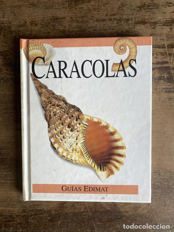 Libros de segunda mano: Caracolas - -