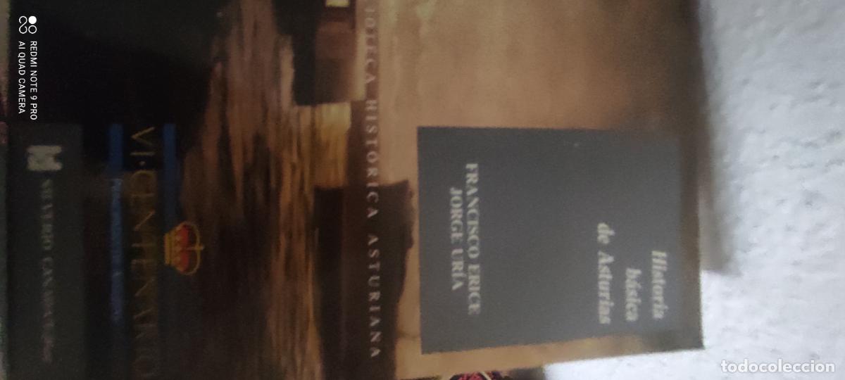 Libros de segunda mano: HISTORIA BASICA DE ASTURIAS - FRANCISCO ERICE Y JORGE URIA