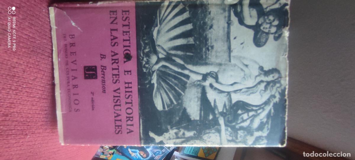 Libros de segunda mano: EST&Eacute;TICA E HISTORIA EN LAS ARTES VISUALES (B. BERENSON) (BREVIARIOS DEL FONDO DE CULTURA ECON&Oacute;MICA)