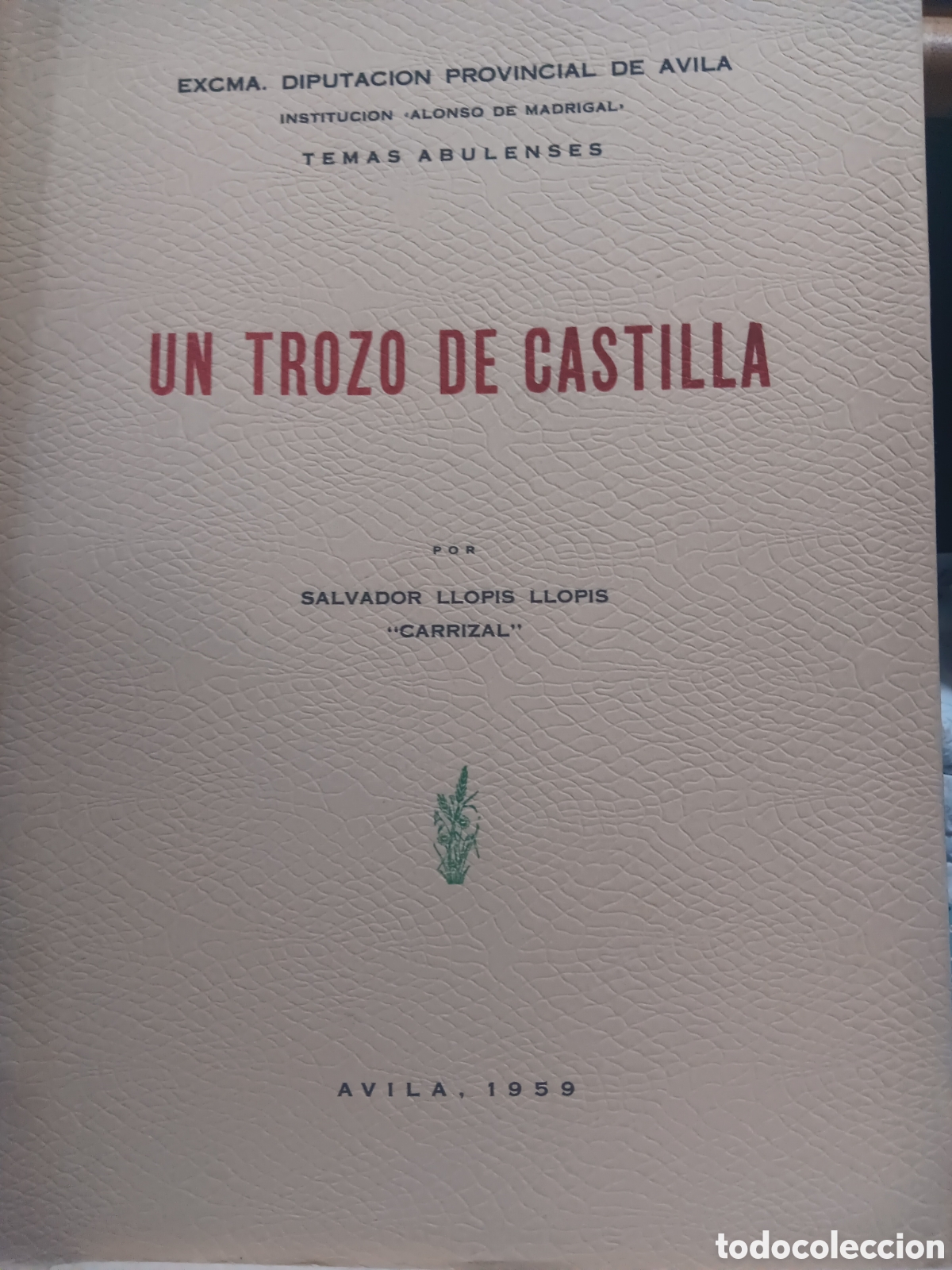 Libros de segunda mano: UN TROZO DE CASTILLA POR SALVADOR LLOPIS LLOPIS &rdquo;CARRIZAL&rdquo;