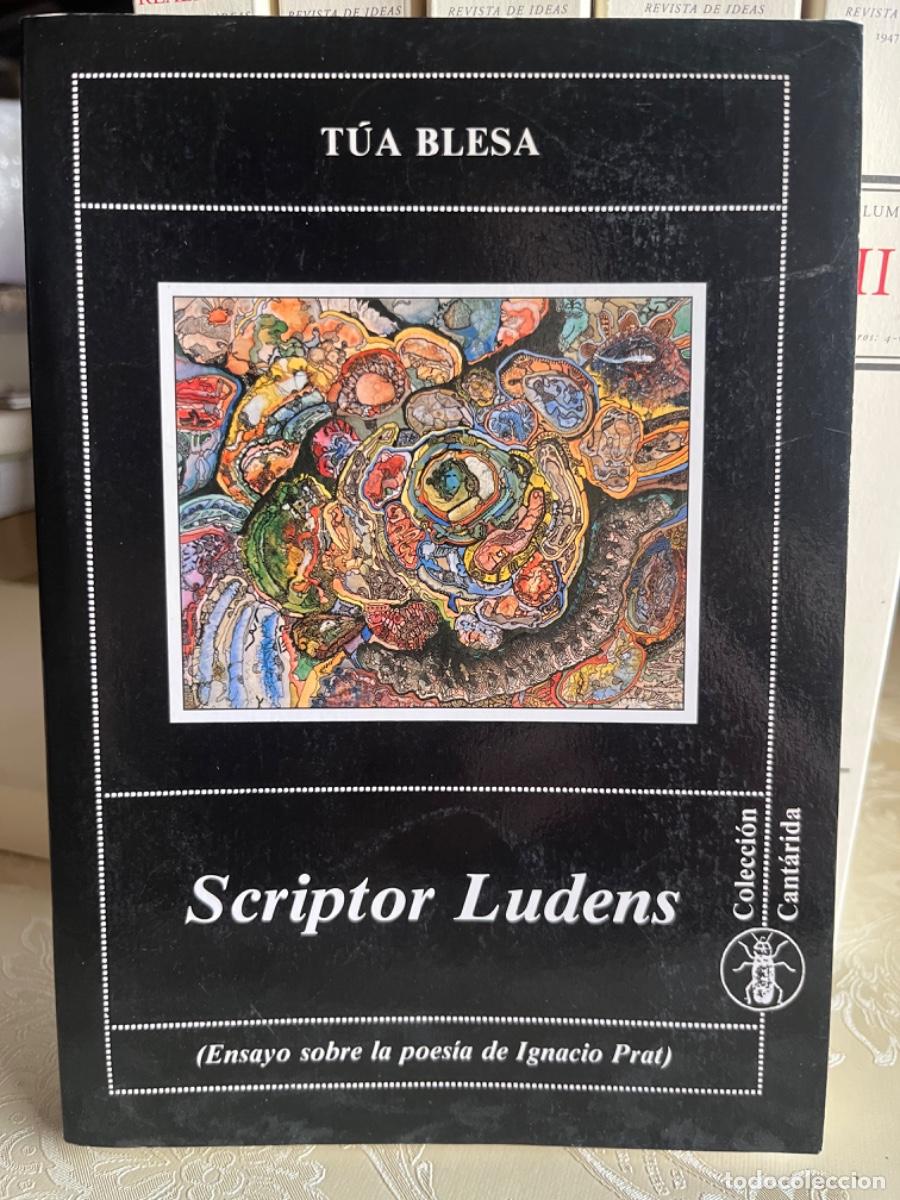 Libros de segunda mano: Blesa, Tua.- Scriptor Ludens. Ensayo sobre la poes&iacute;a de Ignacio Prat