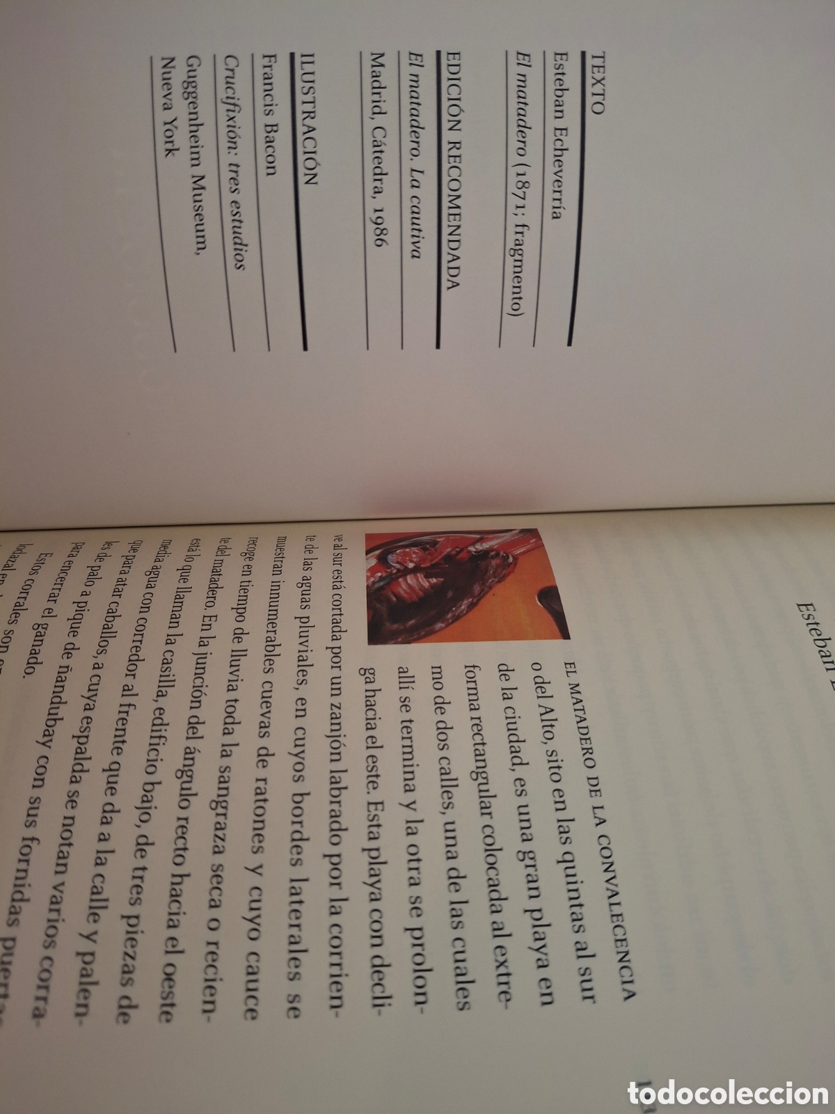 Libros de segunda mano: LIBRO DE CIENCIAS, 451 EDITORES, 2008 - Foto 6