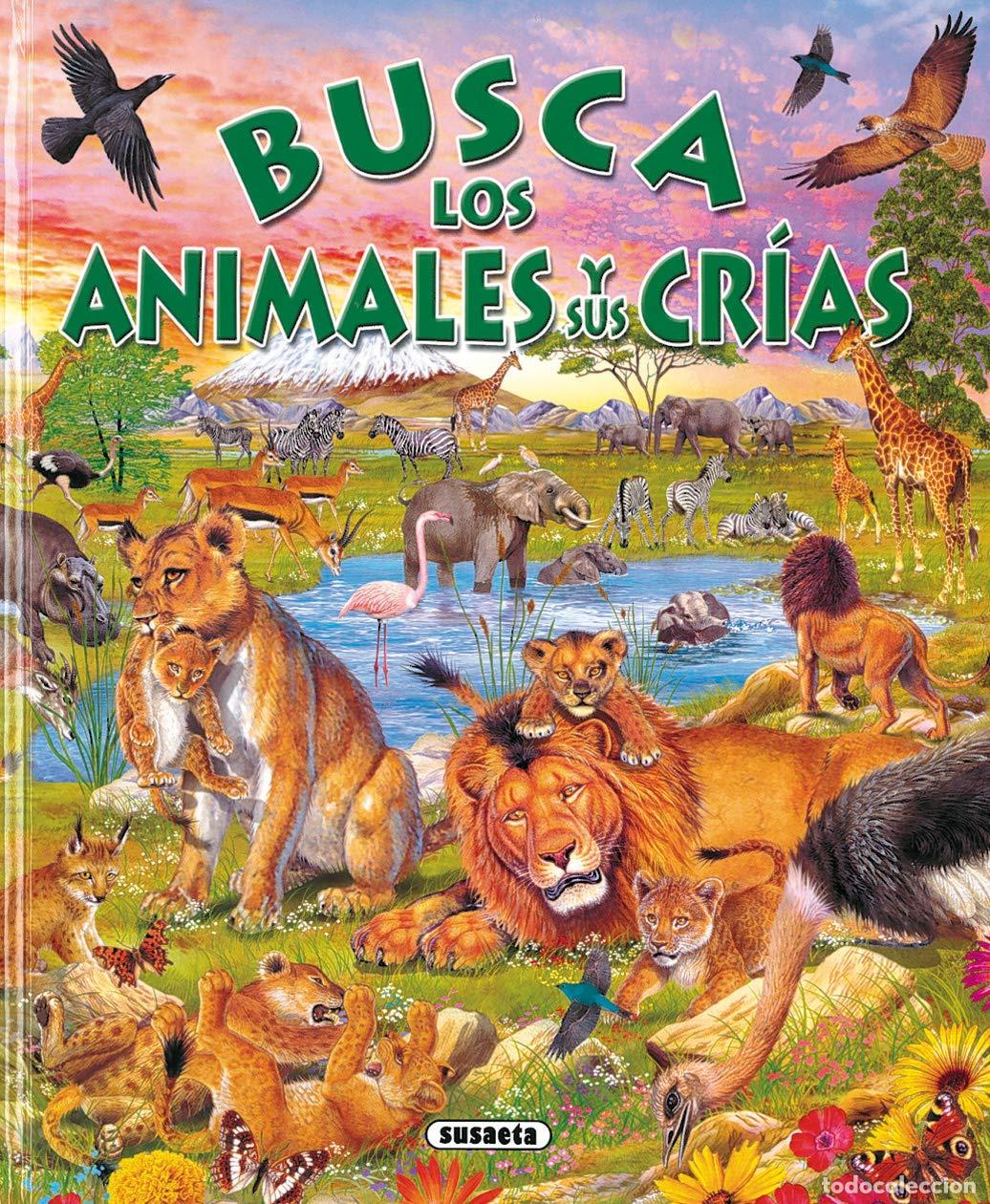 Libros de segunda mano: Busca Animales Y Sus Crias