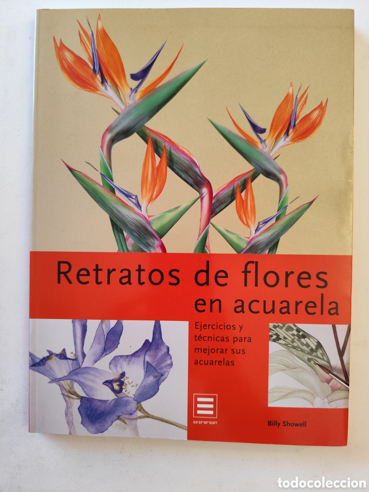 Libros de segunda mano: Retratos de flores en acuarela Ejercicios y t&eacute;cnicas para mejorar sus acuarelas Billy Showell