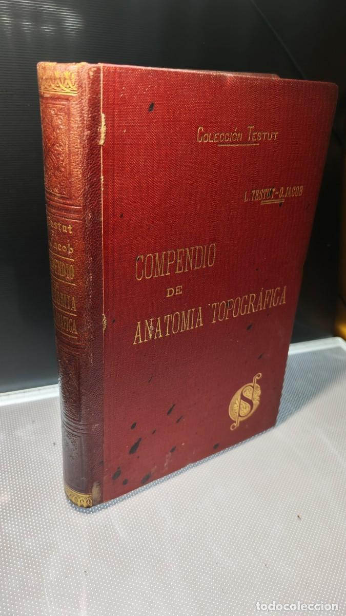 Libros de segunda mano: Compendio de Anatom&iacute;a Topogr&aacute;fica escrito por L. Testut y O. Jacob.