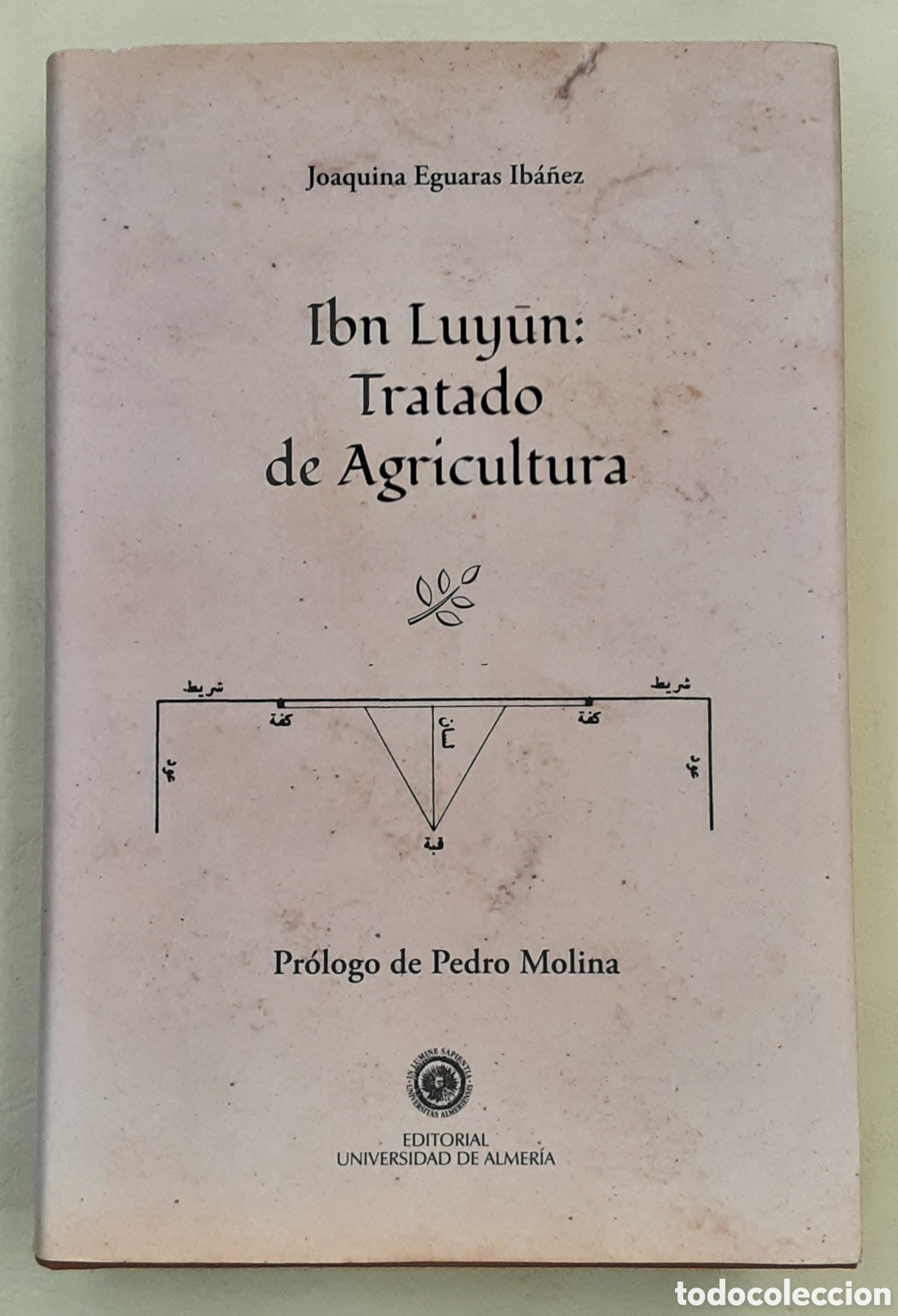 Libros de segunda mano: Ibn Luyūn: Tratado de agricultura. Joaquina Eguaras Ib&aacute;&ntilde;ez. Almer&iacute;a, 2014