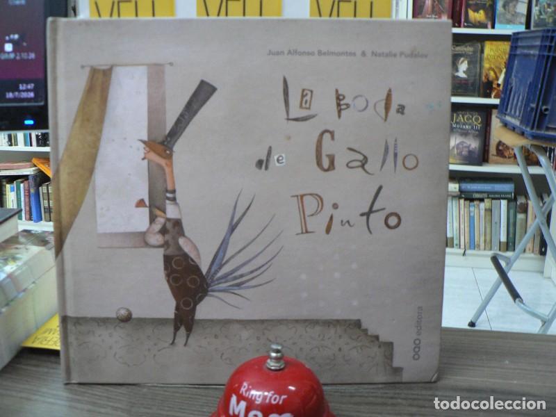 Libros de segunda mano: La Boda del Gallo Pinto - Belmontes Garc&iacute;a, Juan Antonio - Oqo Editora - Colecci&oacute;n o
