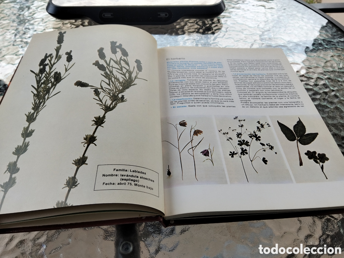 Libros de segunda mano: El taller de las cuatro estaciones. - Foto 4