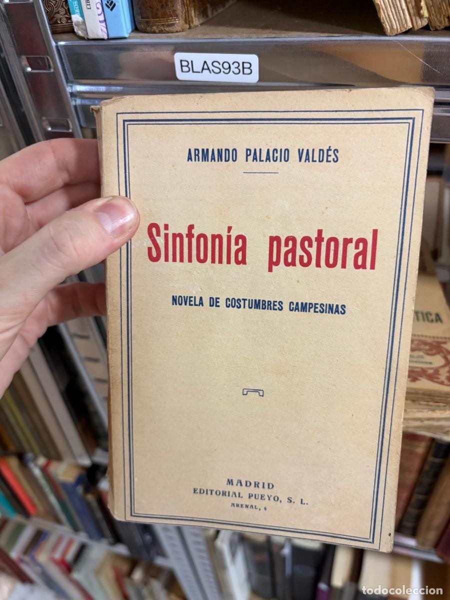 Libros de segunda mano: BLAS93B &ndash; Sinfon&iacute;a pastoral &mdash; Armando Palacio Vald&eacute;s &mdash; Editorial Pueyo.