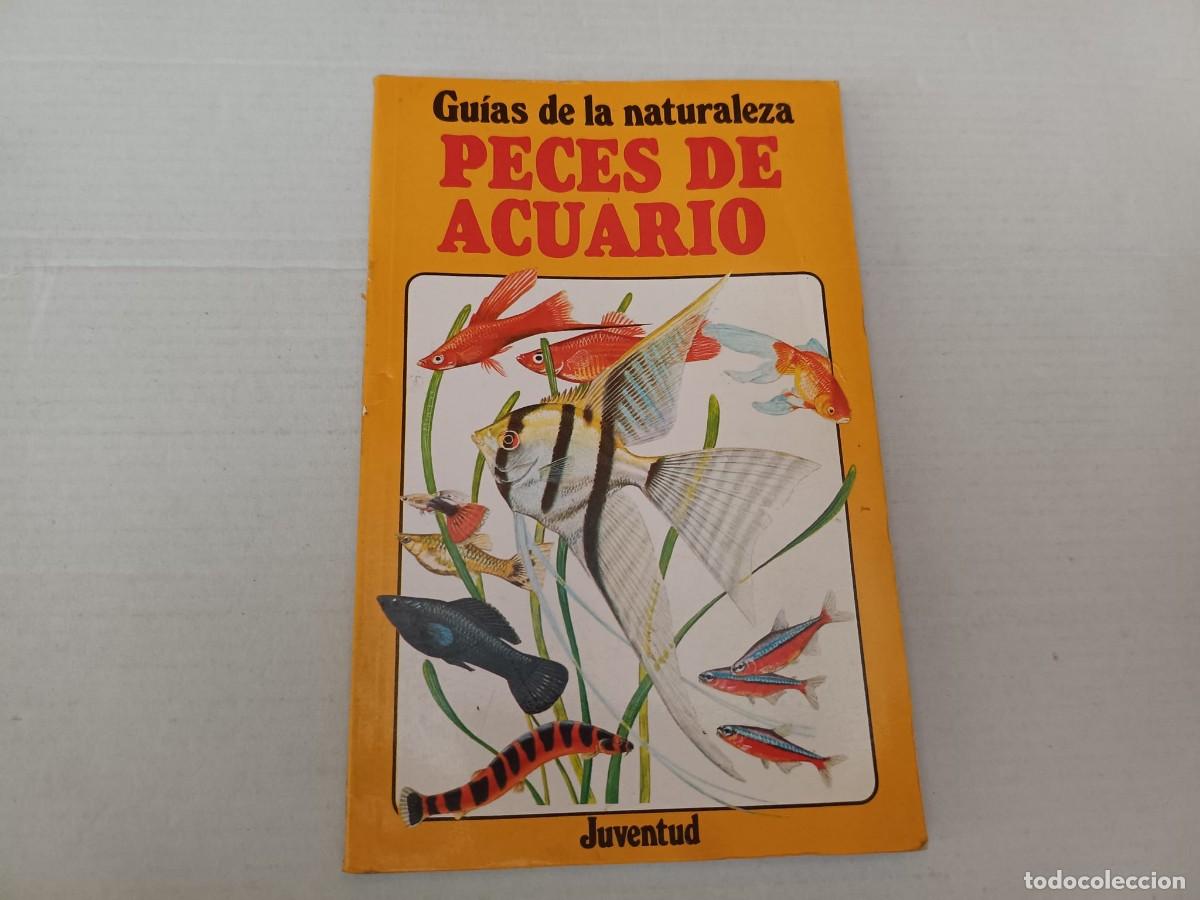 Libros de segunda mano: Peces de Acuario escrita originalmente por el experto David Ford