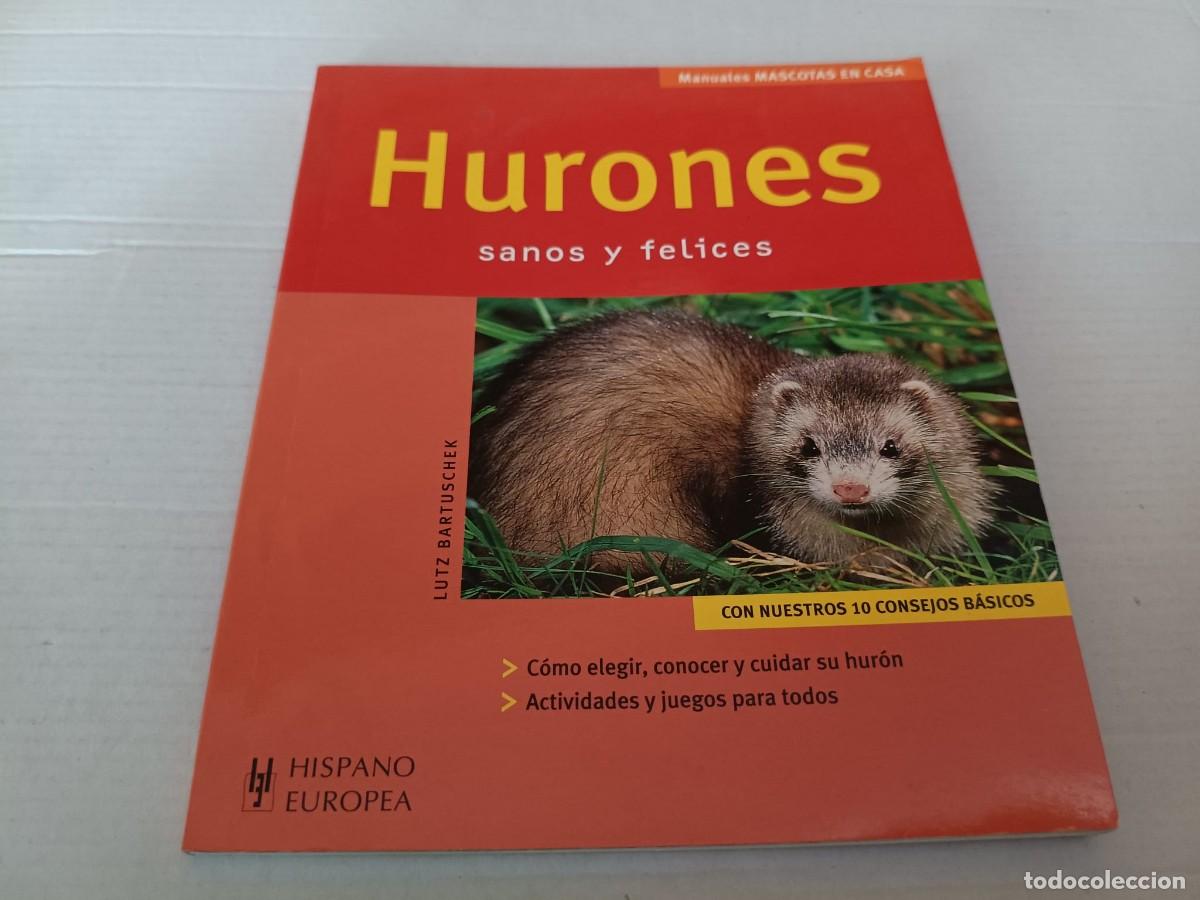 Libros de segunda mano: Hurones: sanos y felices
