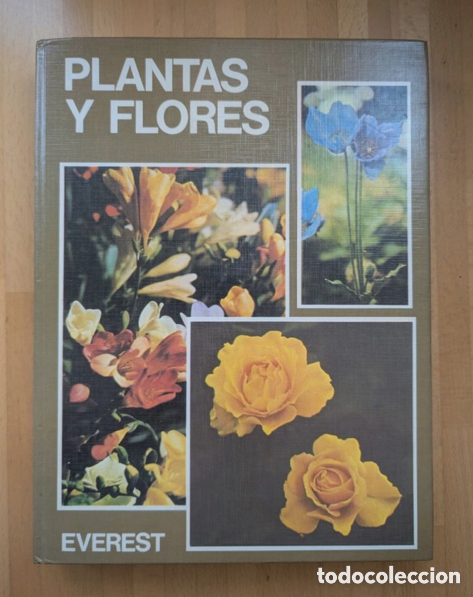 Libros de segunda mano: Plantas y flores. Varios Autores. Everest