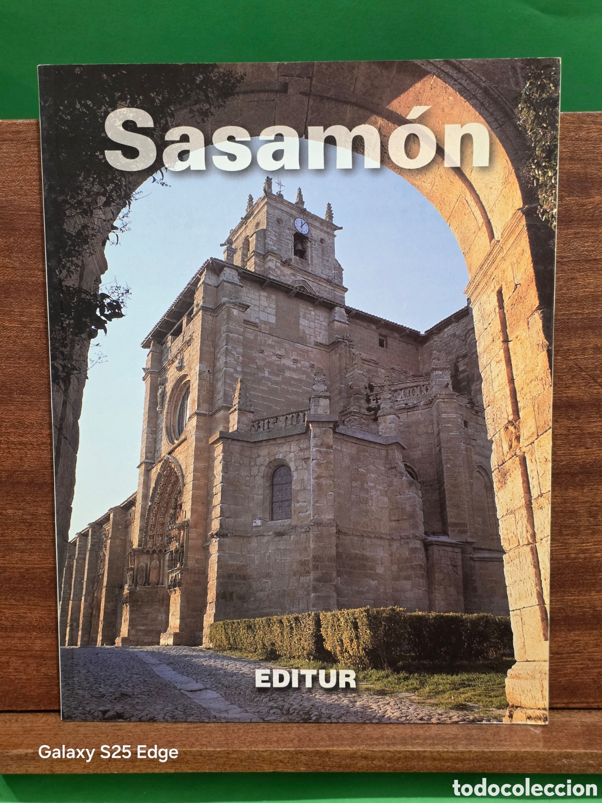 Libros de segunda mano: &rdquo;&rdquo;SASAM&Oacute;N&rdquo;&rdquo;...( BURGOS)...JUAN RUIZ CARCEDO...EDITUR...1997...