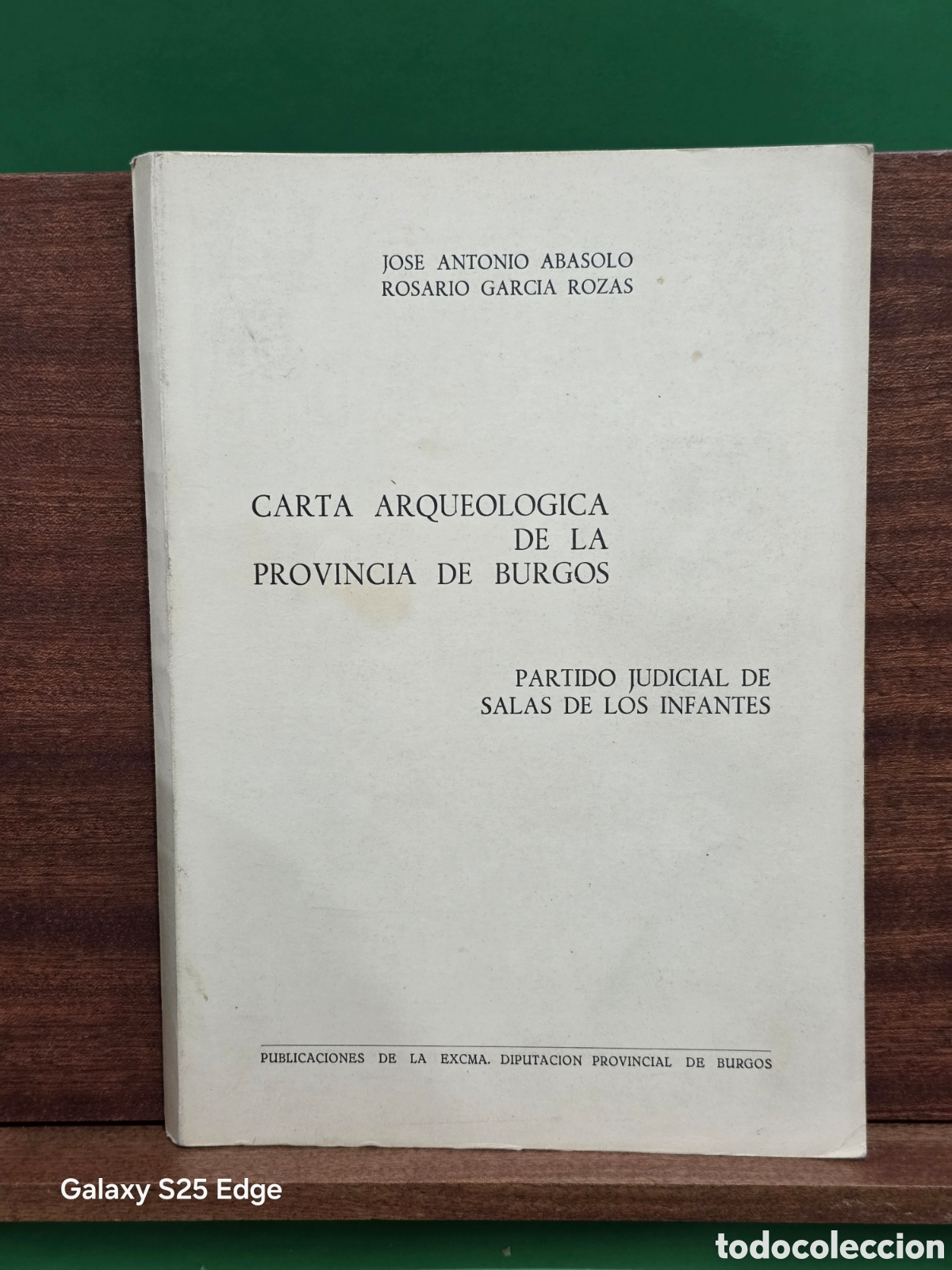Libros de segunda mano: &rdquo;&rdquo;CARTA ARQUEOL&Oacute;GICA DE LA PROVINCIA DE BURGOS&rdquo;&rdquo;...PARTIDO JUDICIAL DE SALAS DE LOS INFANTES...1980.