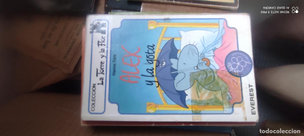 Libros de segunda mano: ALEX HACE LA LIMPIEZA Y LA GOTA - LA TORRE Y LA FLOR N&ordm; 119 Y 120 - ED. EVEREST 1995