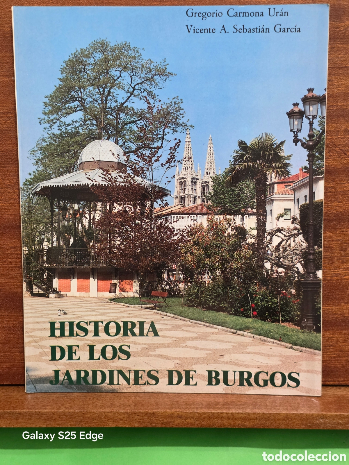 Libros de segunda mano: &rdquo;&rdquo;HISTORIA DE LOS JARDINES DE BURGOS&rdquo;&rdquo;...GREGORIO CARMONA UR&Aacute;N Y V. A. SEBASTI&Aacute;N GARCIA...1989..