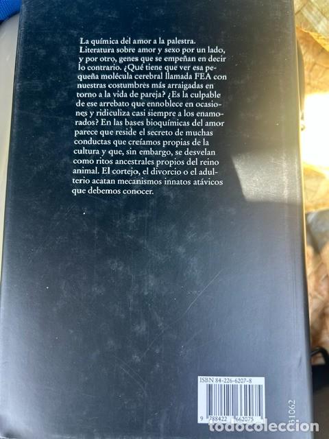 Libros de segunda mano: Anatom&iacute;a del amor -Helen E.Fisher- - Foto 2