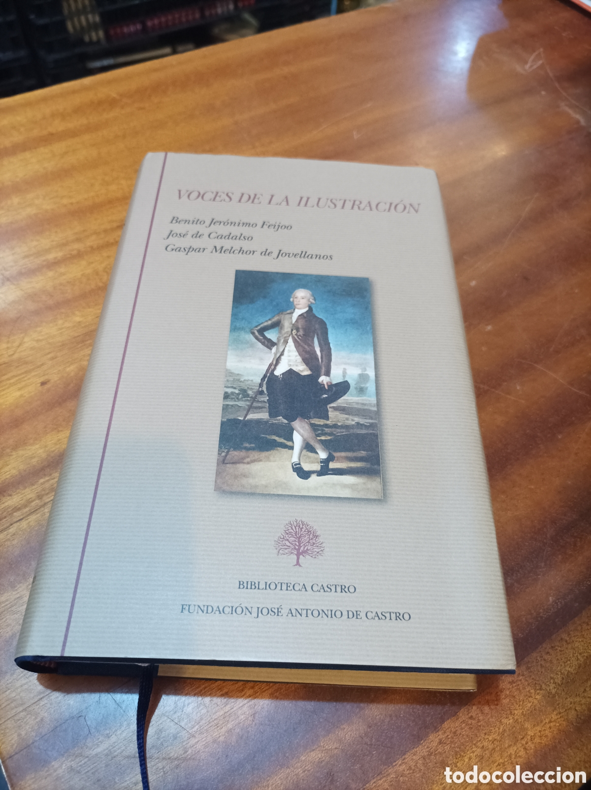 Libros de segunda mano: VOCES DE LA ILUSTRACI&Oacute;N.BIBLIOTECA CASTRO 2025.