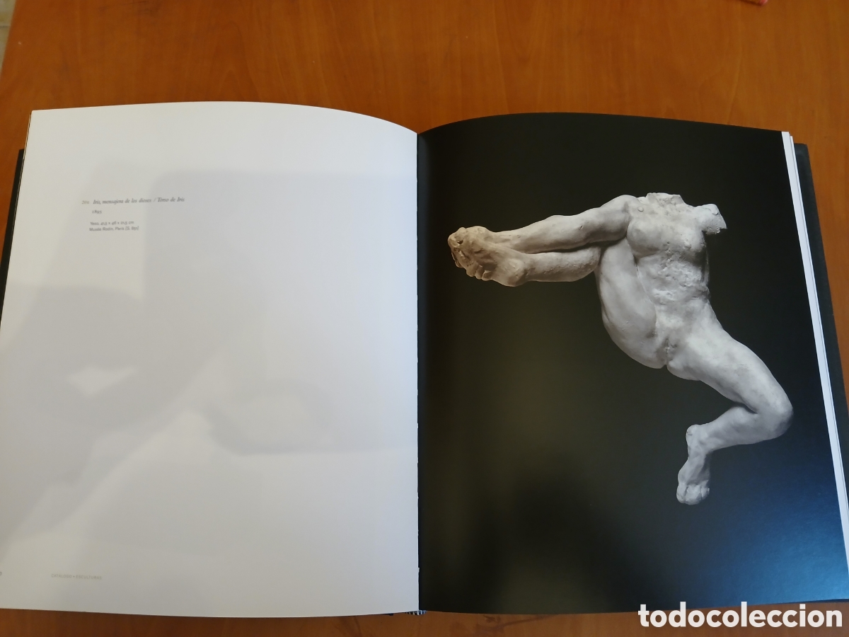 Libros de segunda mano: El Cuerpo Desnudo. Rodin. - Foto 11