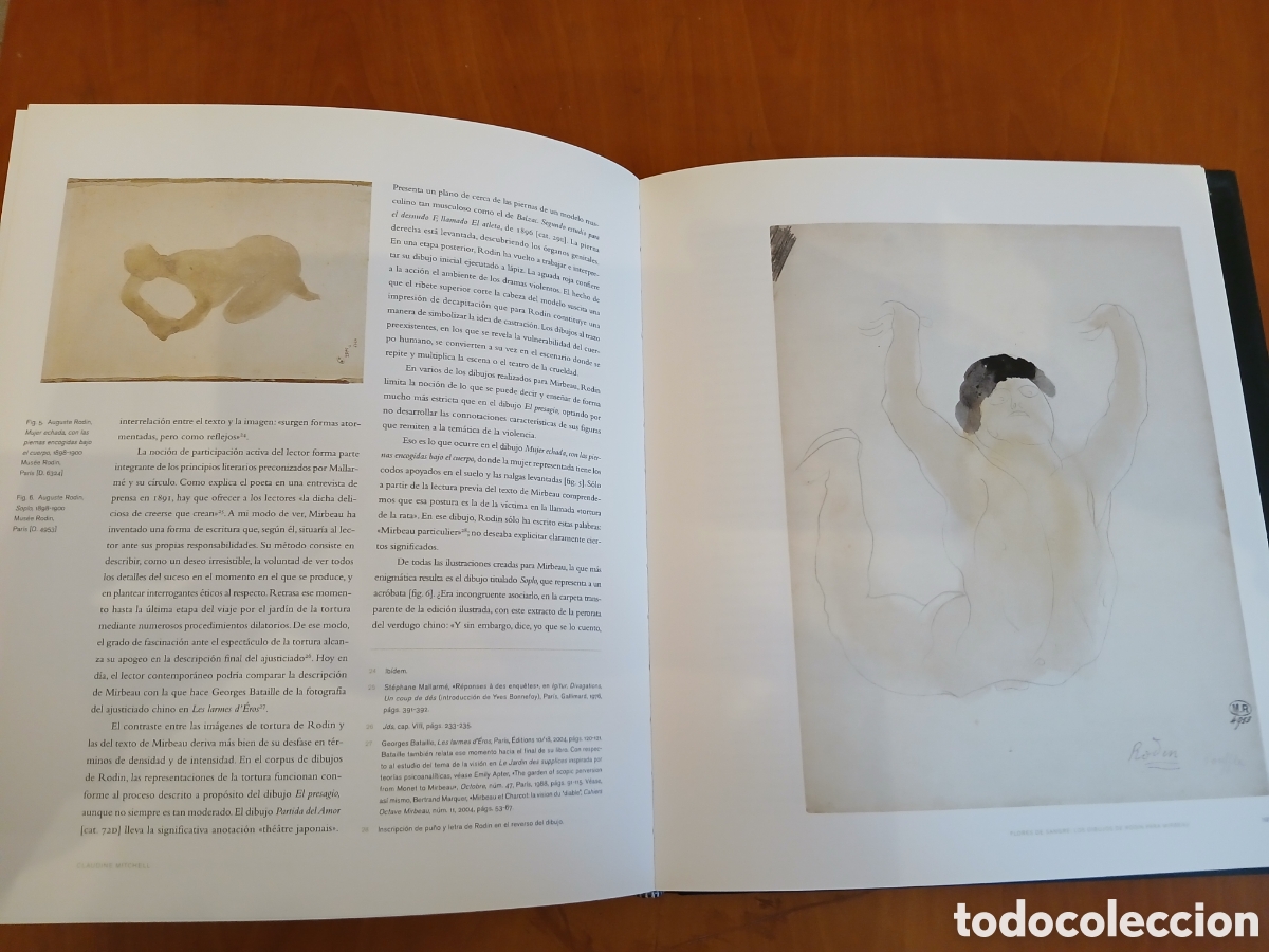 Libros de segunda mano: El Cuerpo Desnudo. Rodin. - Foto 15