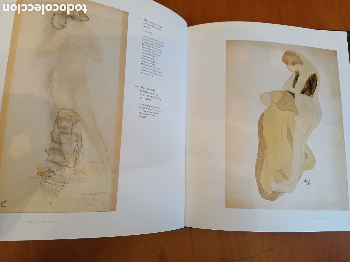 Libros de segunda mano: El Cuerpo Desnudo. Rodin. - Foto 17