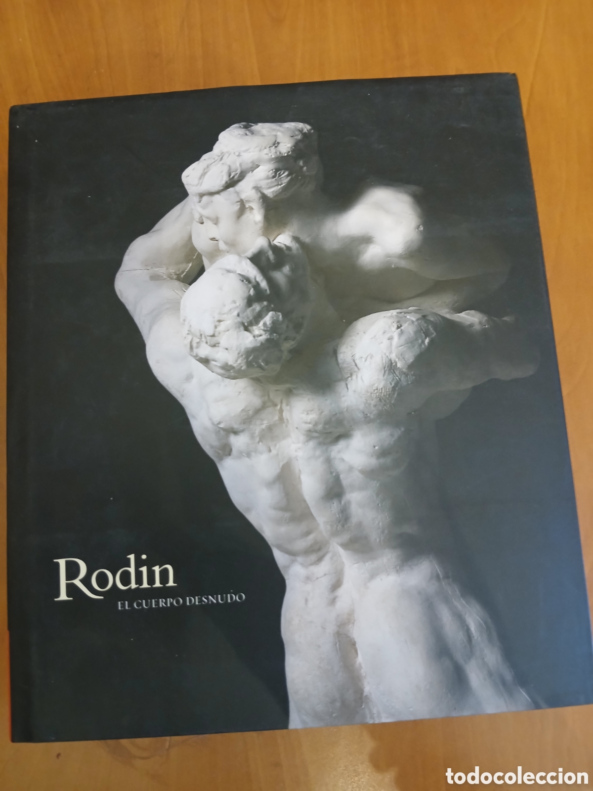Libros de segunda mano: El Cuerpo Desnudo. Rodin.