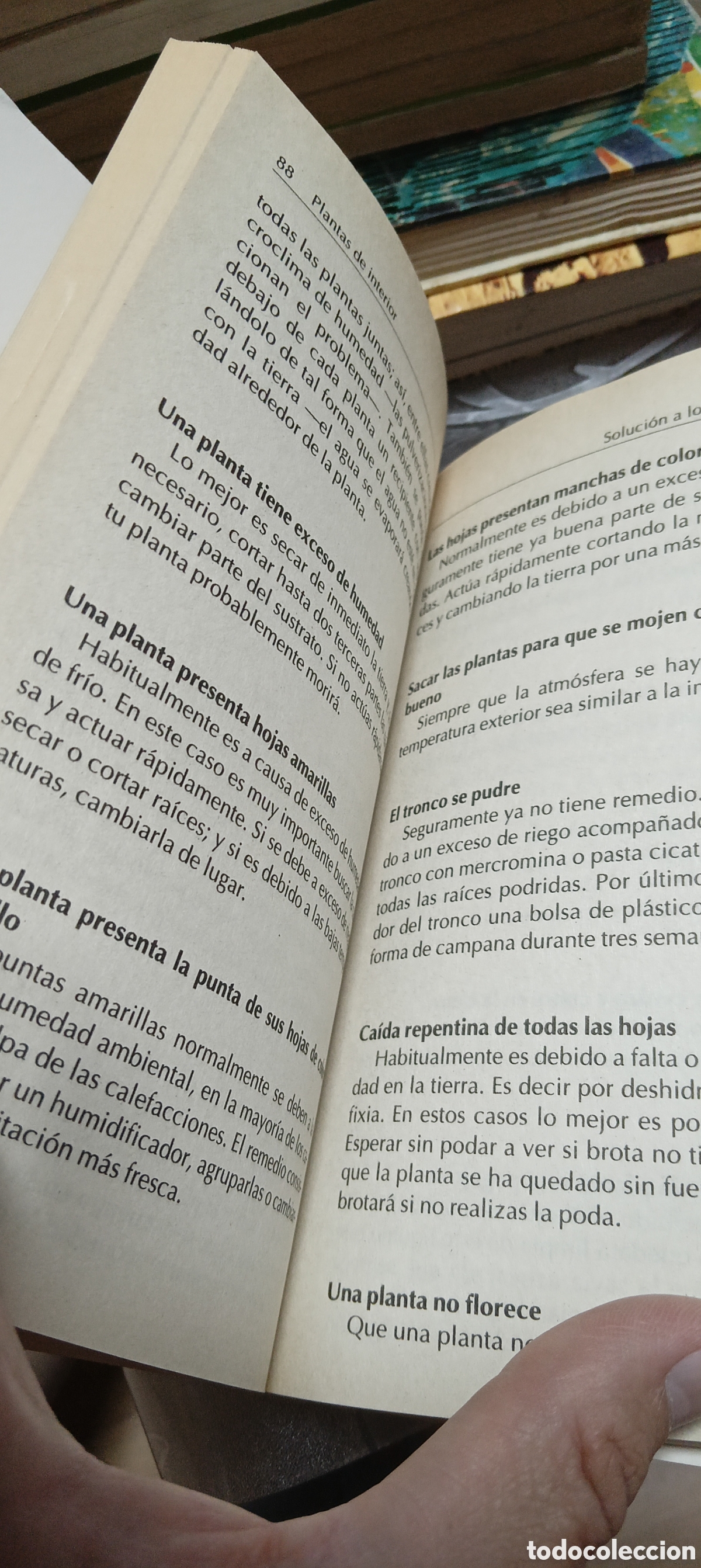 Libros de segunda mano: Libro Plantas de Interior - Foto 4