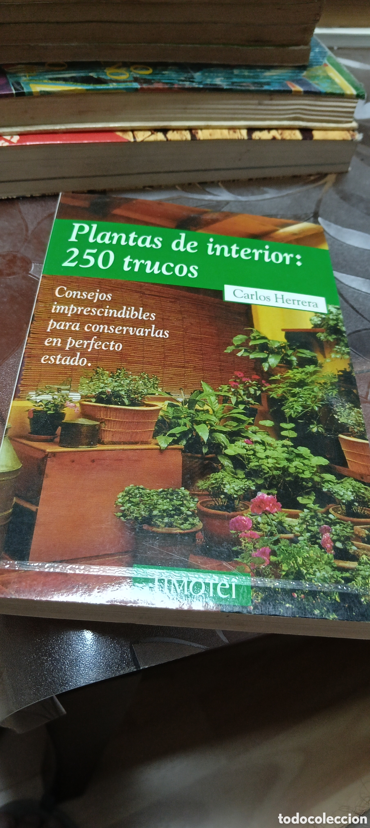 Libros de segunda mano: Libro Plantas de Interior