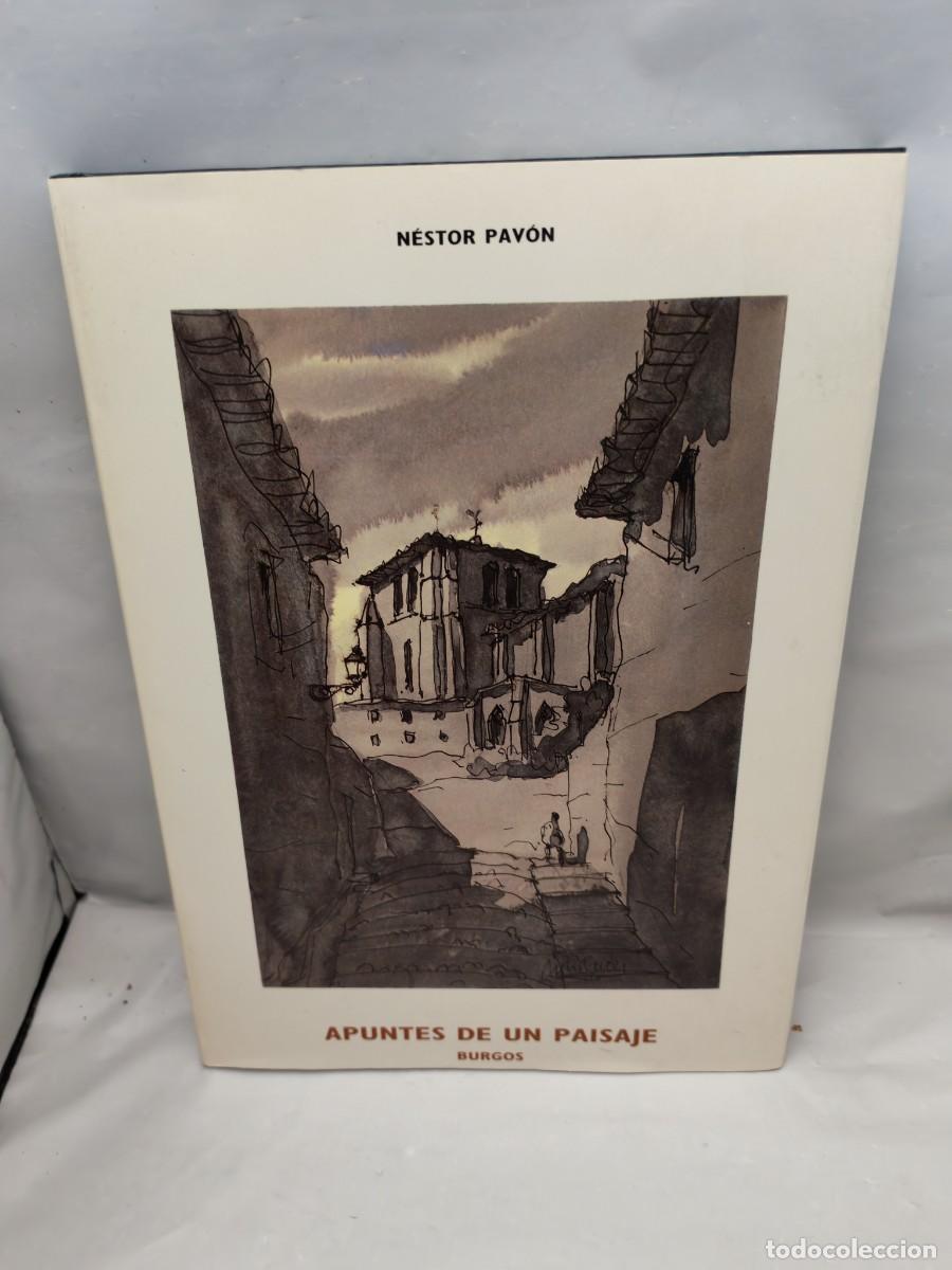 Libri di seconda mano: N&eacute;stor Pav&oacute;n: Apuntes de un paisaje, BURGOS (Primera edici&oacute;n, tapa dura)