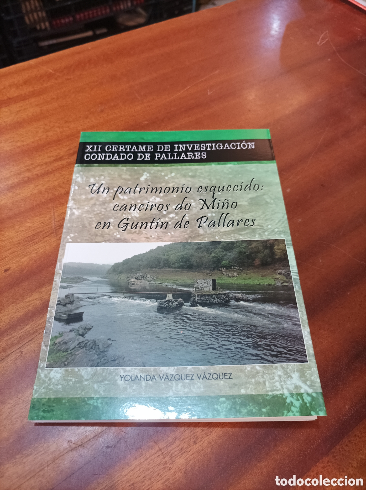 Libros de segunda mano: UN PATRIMONIO ESQUECIDO: CANEIROS DO MI&Ntilde;O EN GUNTIN DE PALLARES.YOLANDA V&Aacute;ZQUEZ V&Aacute;ZQUEZ.