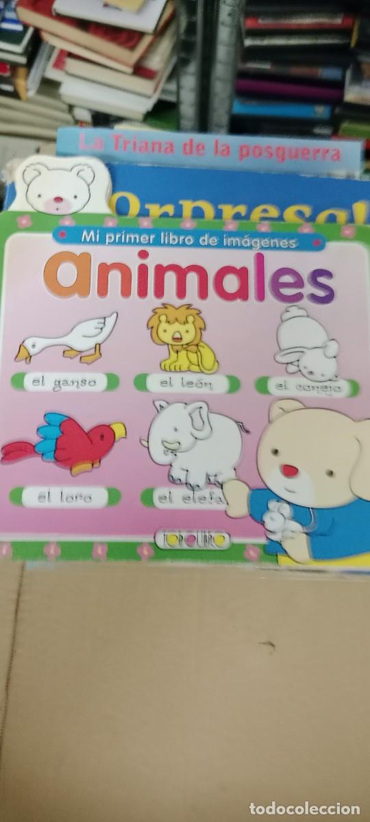 Second hand books: MI PRIMER LIBRO DE IMAGENES ANIMALES LIBRO M-58