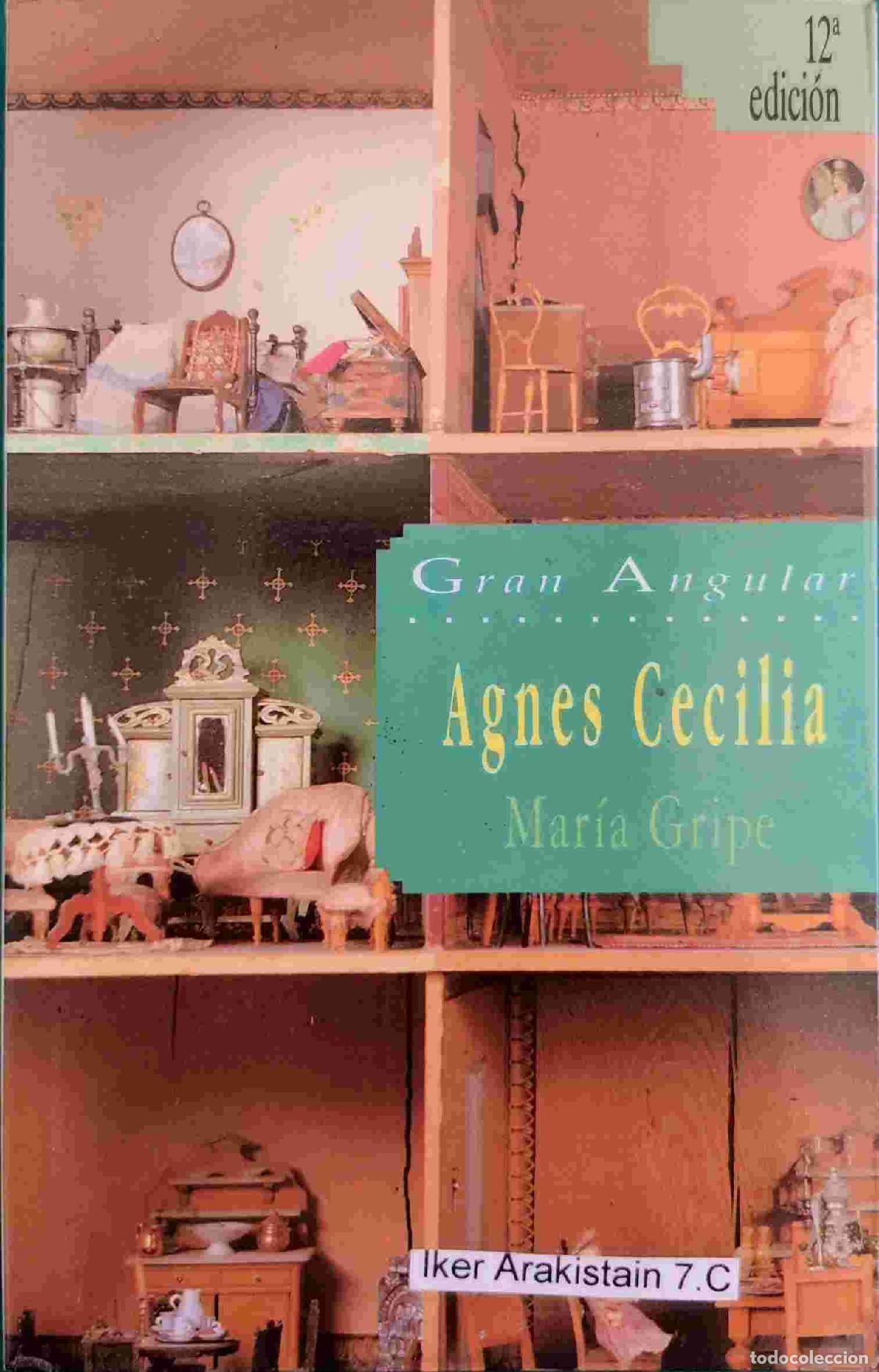 Libros de segunda mano: Agnes Cecilia: 40 (Gran Angular) - Foto 1