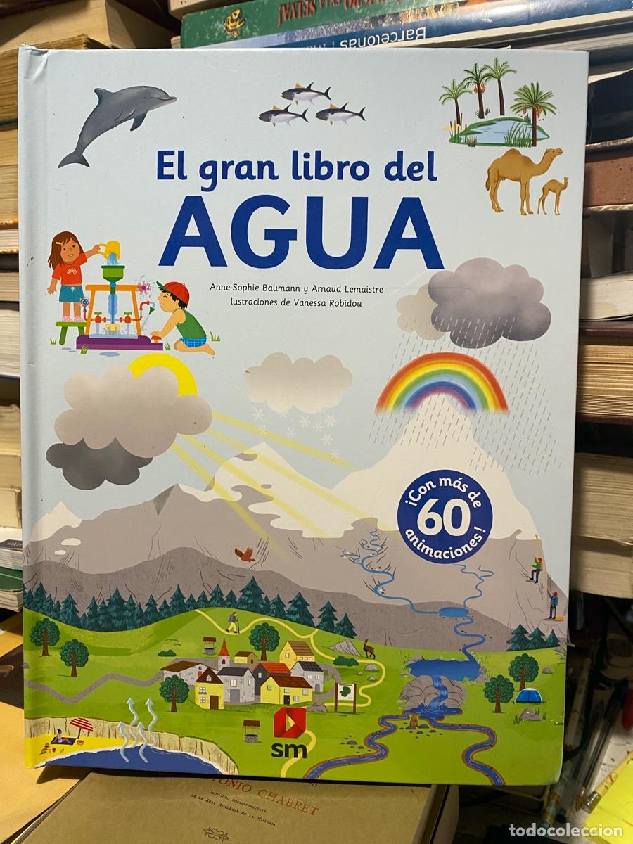 Libros de segunda mano: EL GRAN LIBRO DEL AGUA, ANNE SOPHIE BAUMANN, EDT. SM